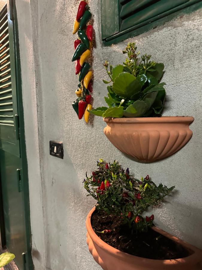 Ferienwohnung Tiny House - Spaccanapoli Exterior foto